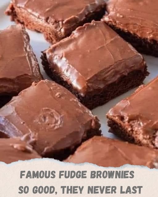 FAMOUS FUDGE BROWNIES